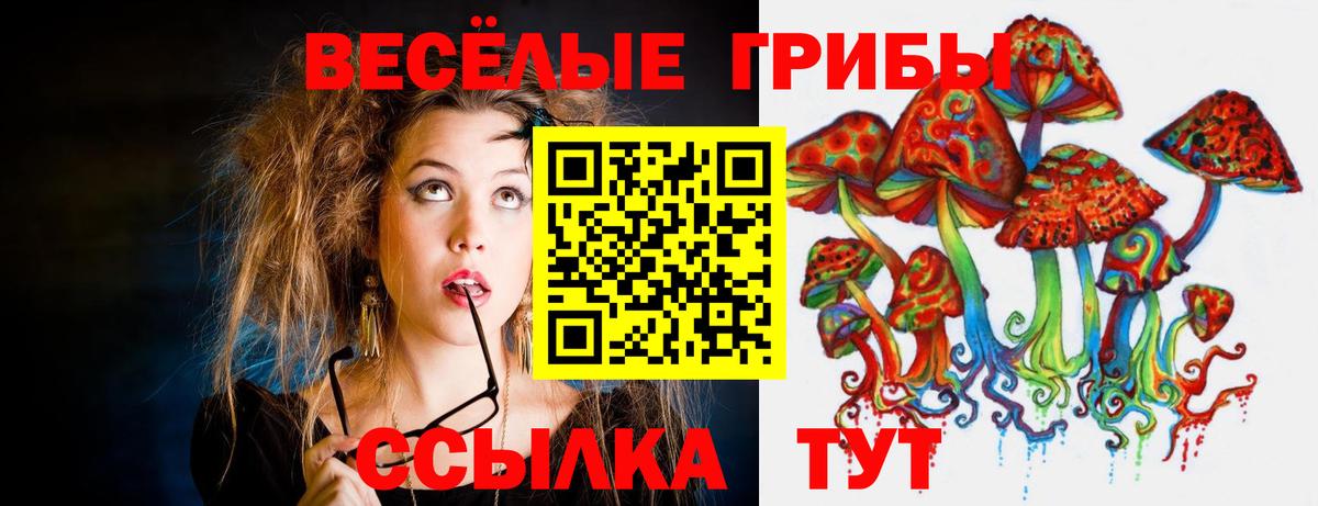 Галлюциногенные грибы прущие грибы  Вход с VPN  наркошоп  Улан-Удэ  Галлюциногенные грибы GOLDEN TEACHER 